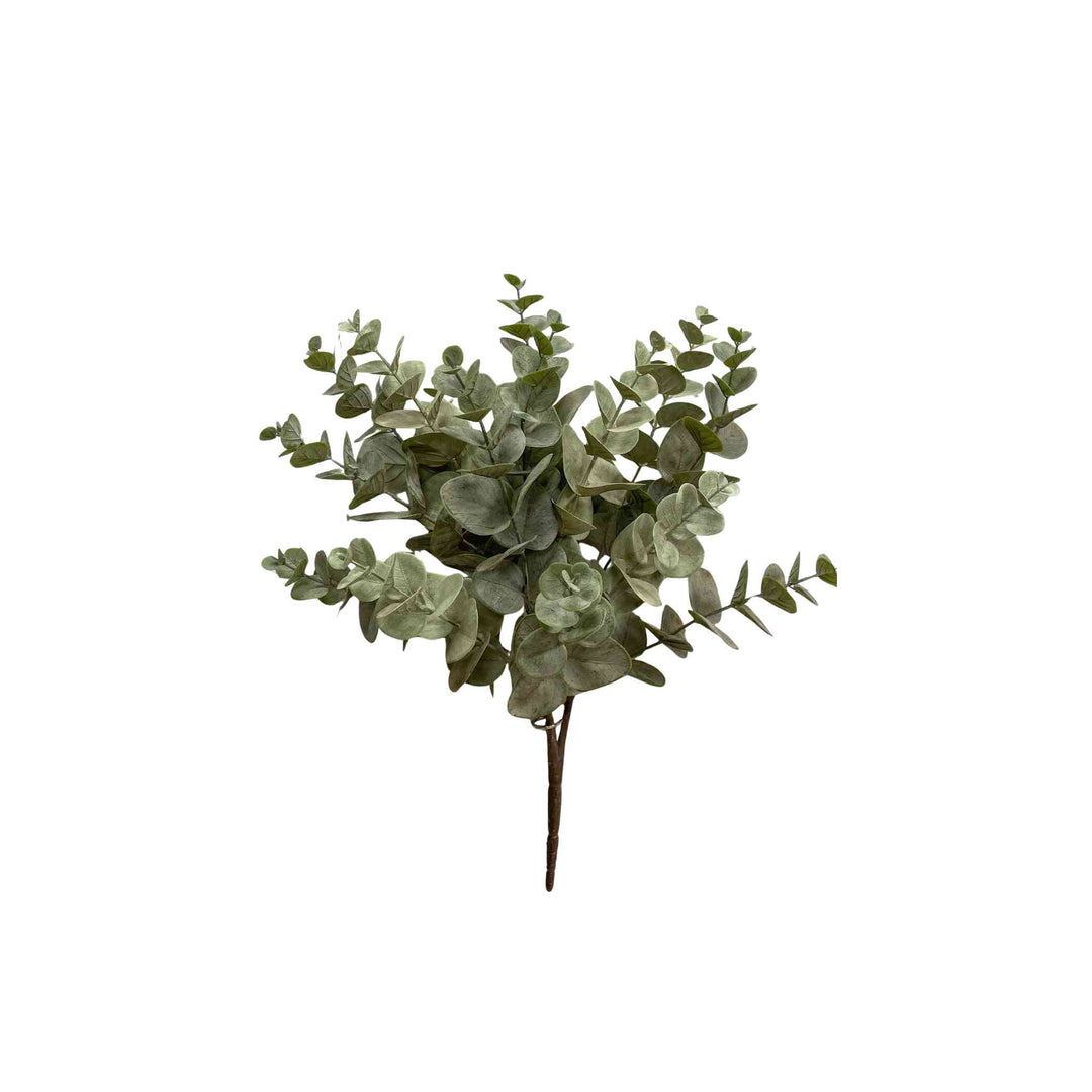 MATTE GREEN EUCALYPTUS BUSH