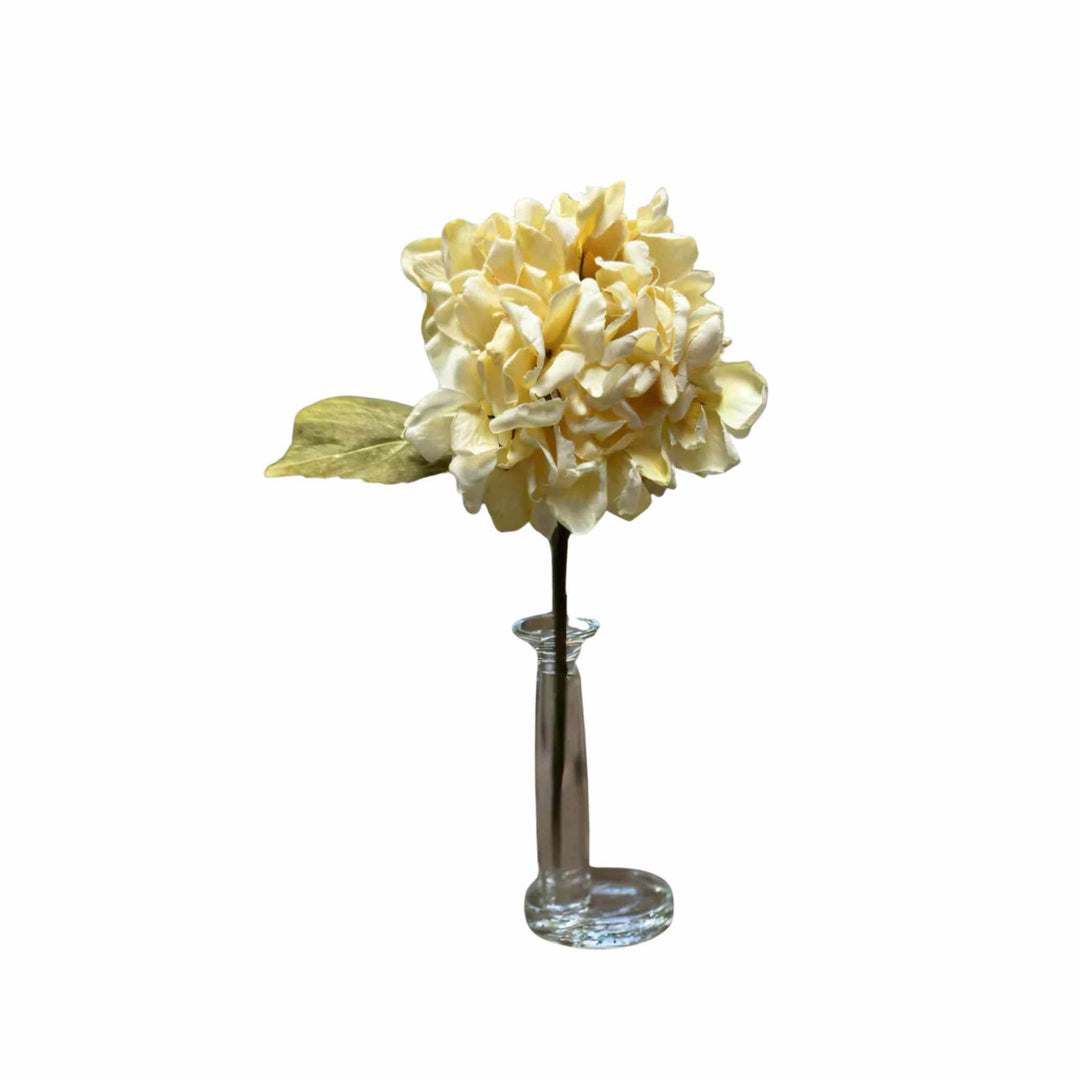 CREAM HYDRANGEA STEM