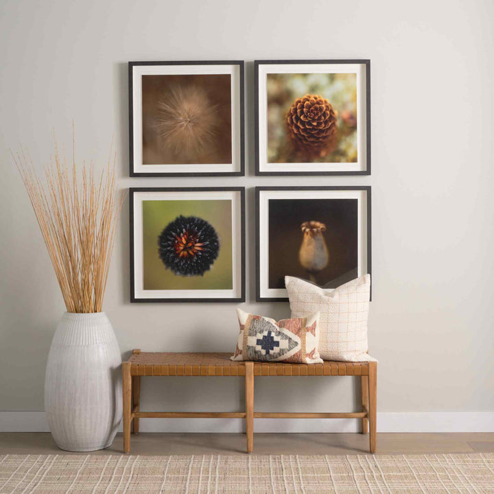 CURIOUS, FRAMED ART