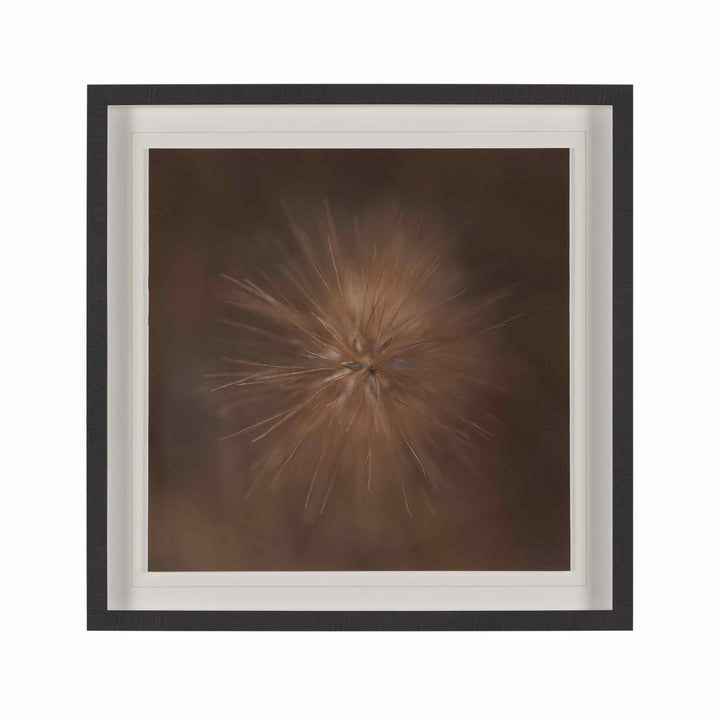 CURIOUS, FRAMED ART