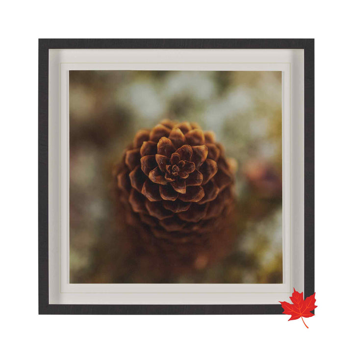 DOWN TO EARTH, FRAMED ART