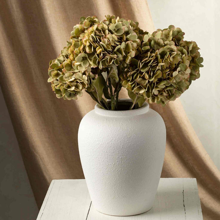 FADED HYDRANGEA STEM