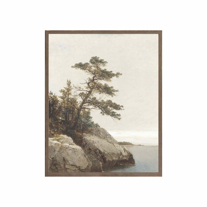 NORTHERN COLLECTION