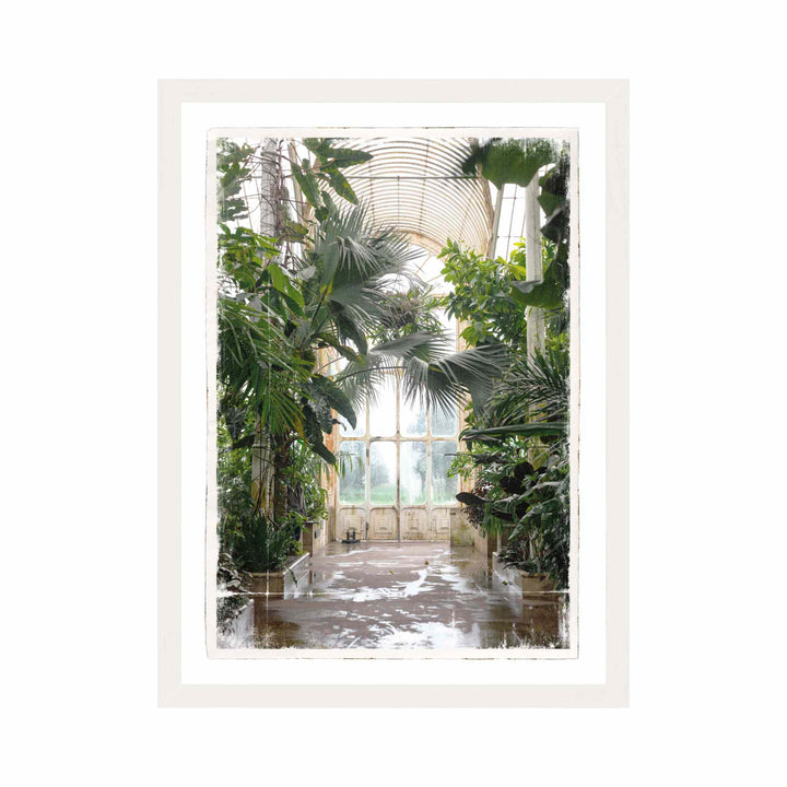 GREENHOUSE COLLECTION, FRAMED ART