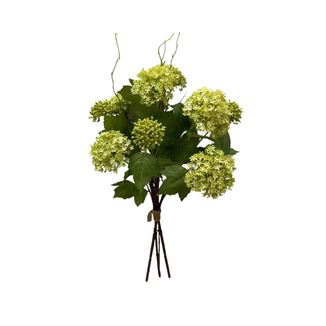 GREEN SNOWBALL, 25"