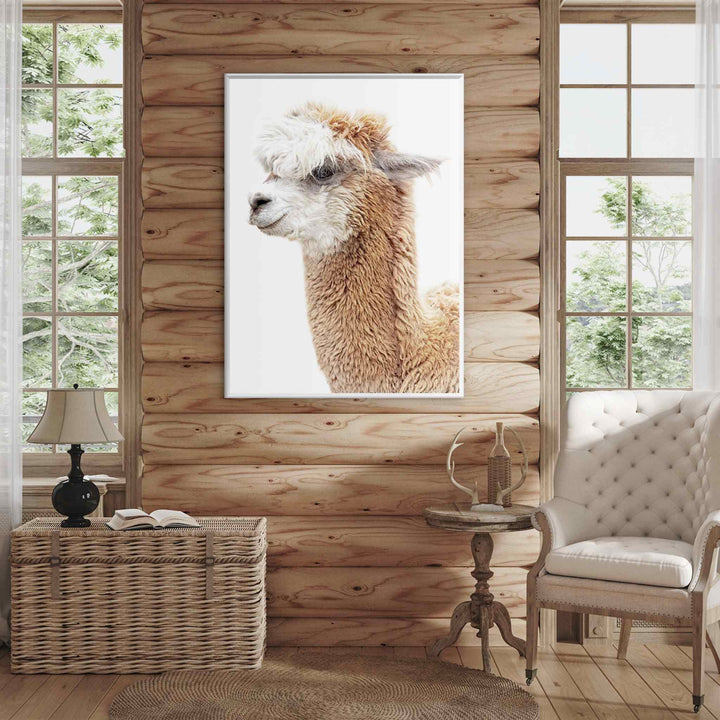 LLAMA PORTRAIT