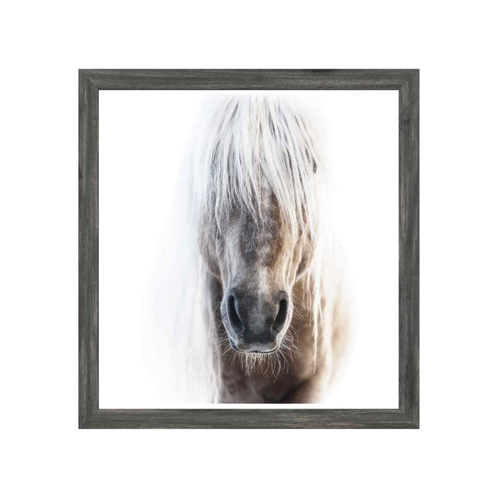 PALOMINO, FRAMED ART