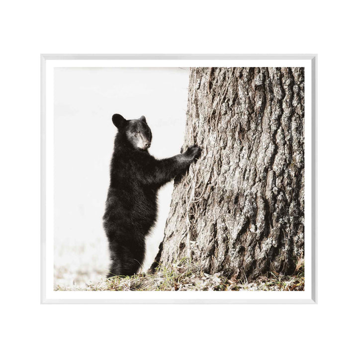 SMOKEY MOUNTAIN CUB, FRAMED ART