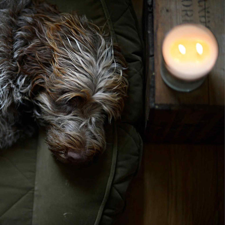 SYDNEY HALE CANDLE, OAKED BITTER ORANGE