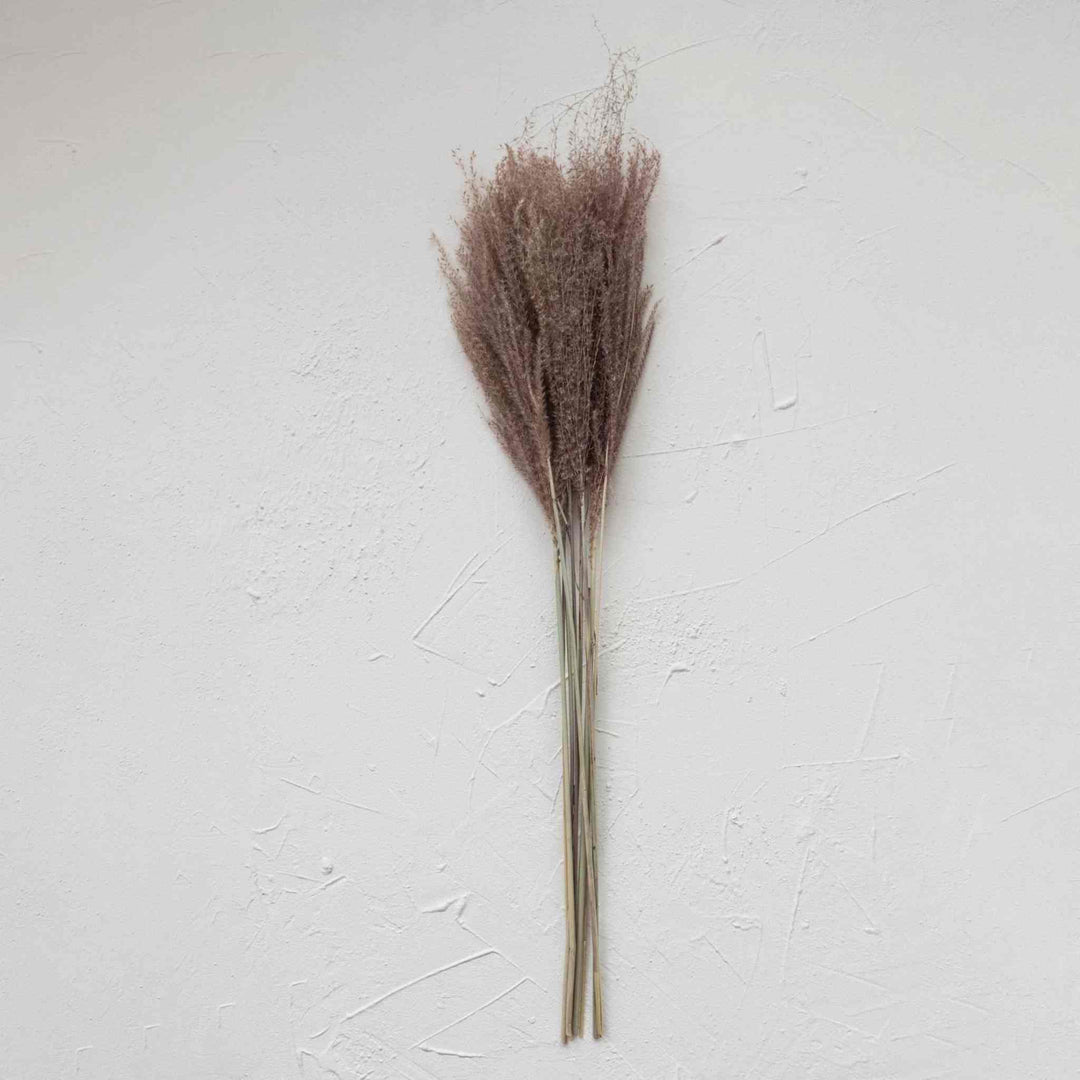 DRIED NATURAL GRASS PLUME