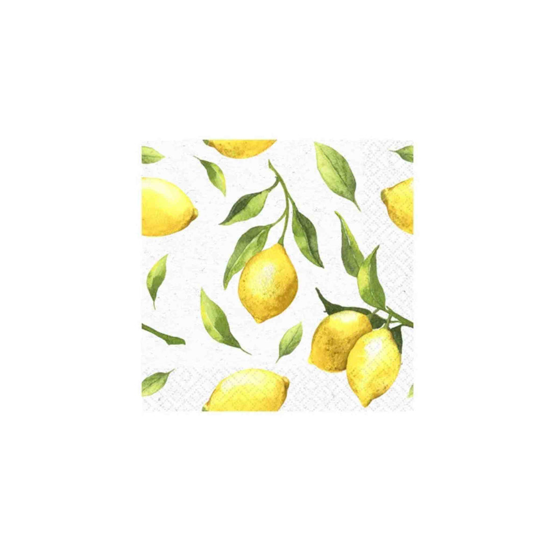 CITRUS, COCKTAIL NAPKIN
