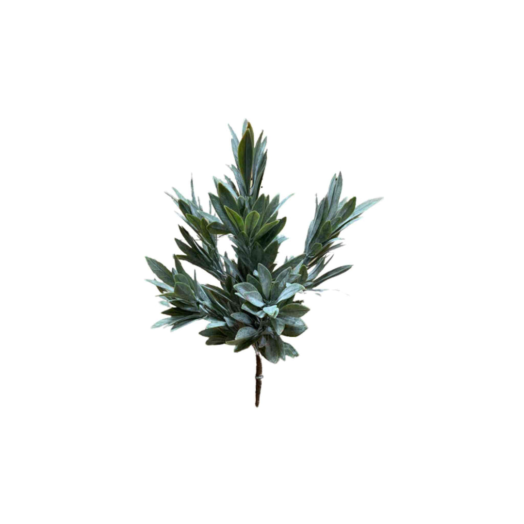 MYRTLE BUSH, GREEN, 15.5"
