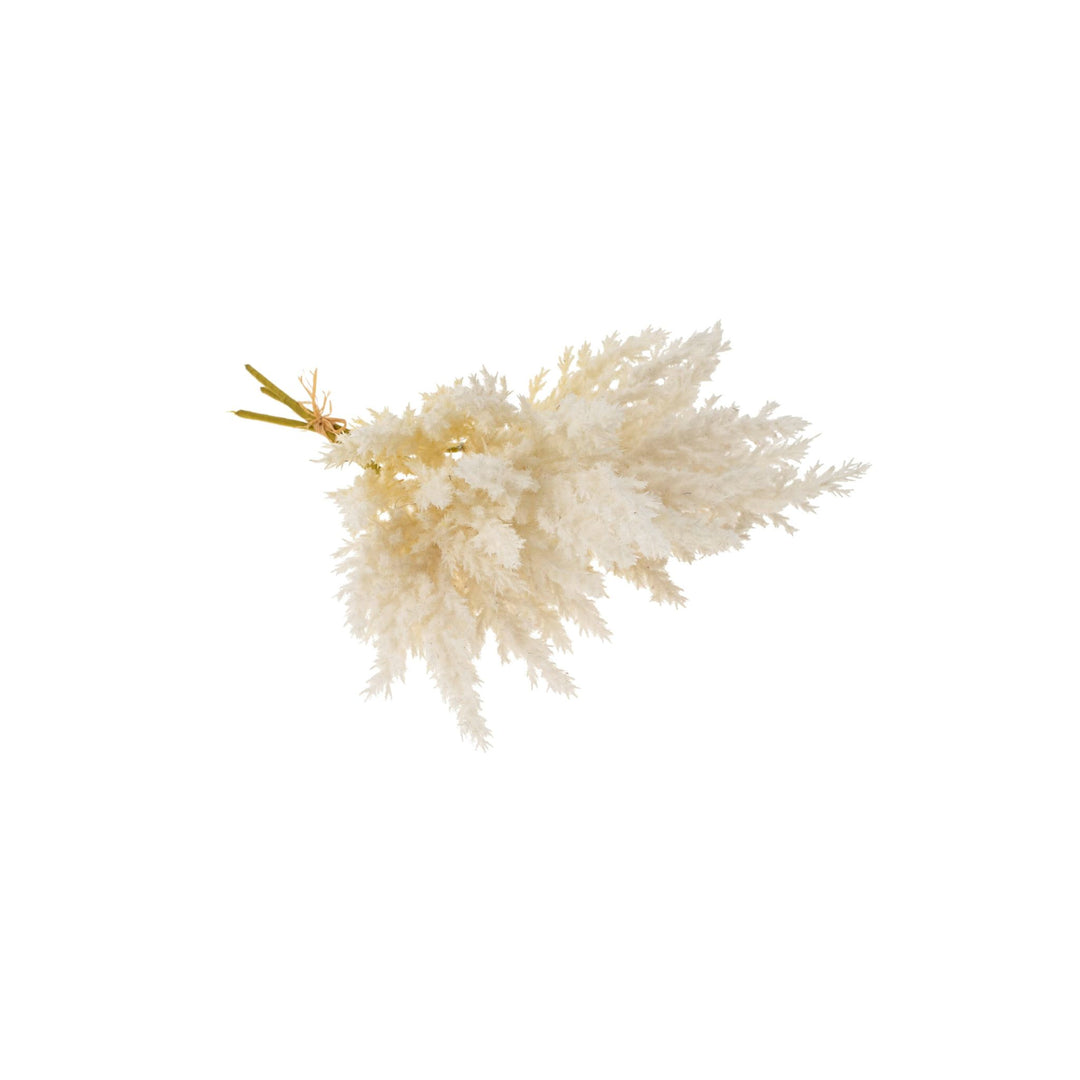 PAMPAS GRASS BUNDLE, WHITE