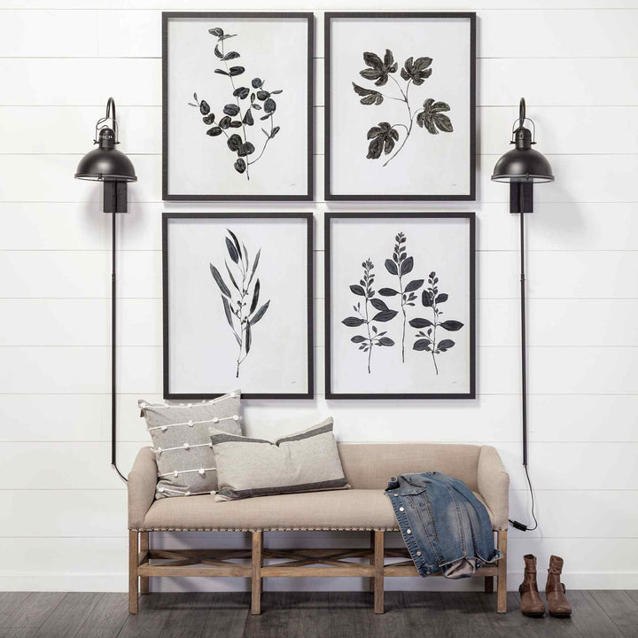 BOTANICAL STUDY COLLECTION