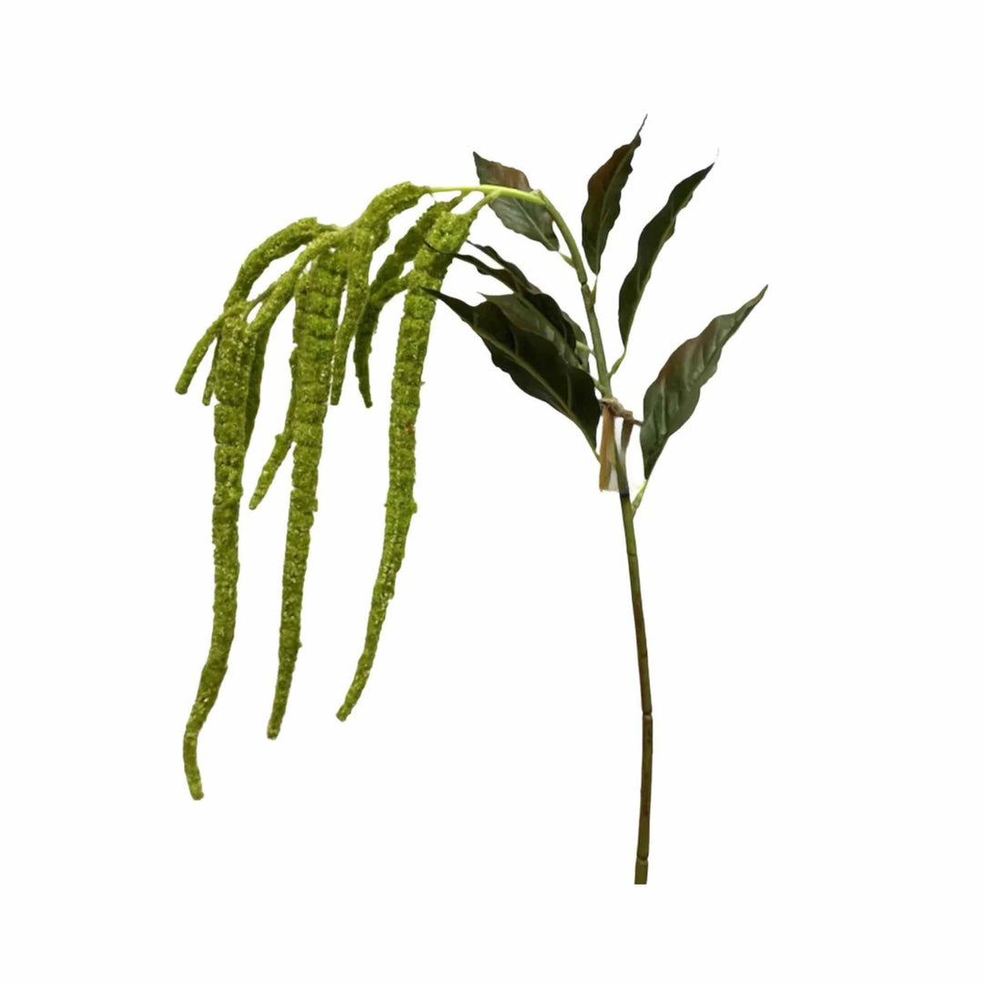 WEEPING AMARANTH, GREEN