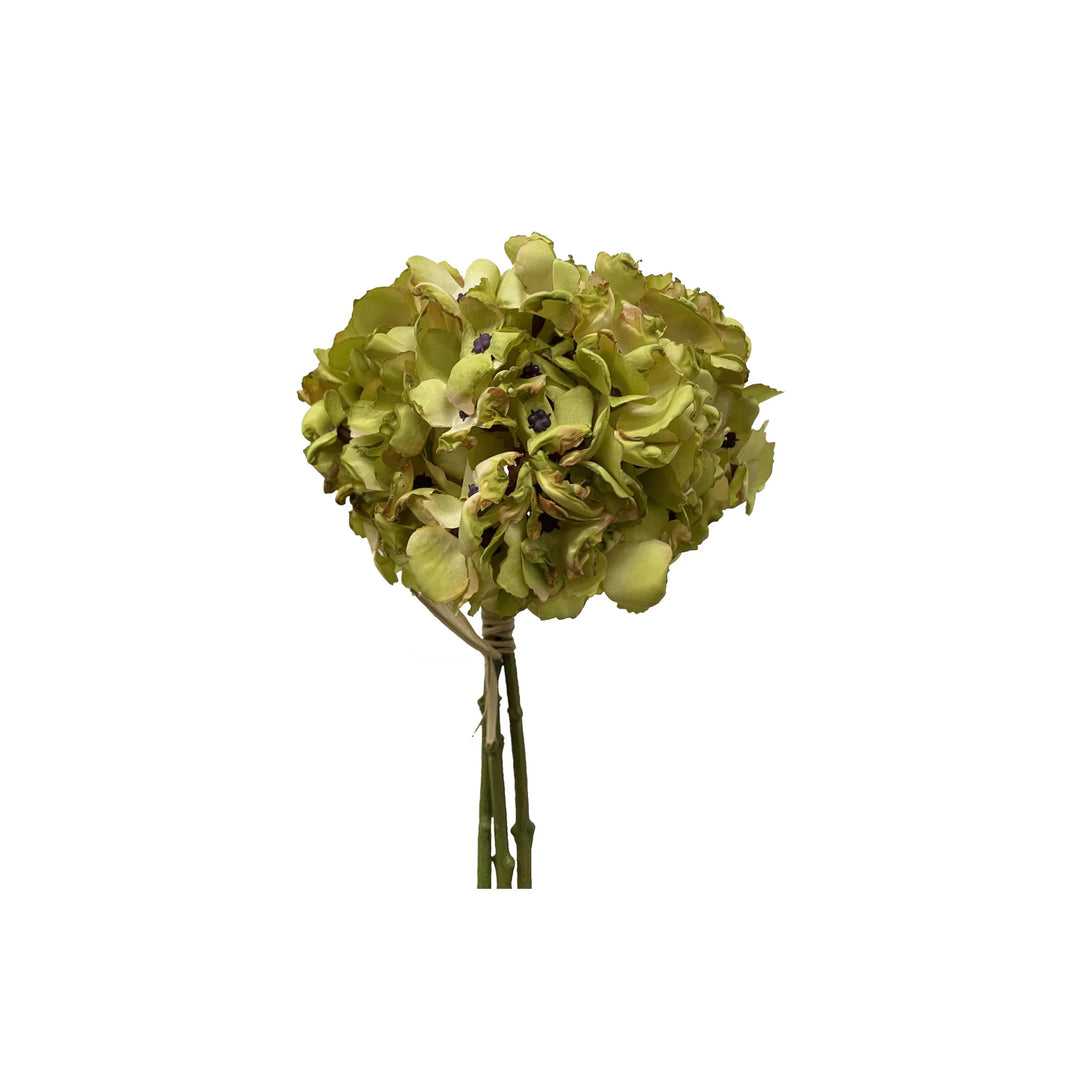 DRIED FAUX HYDRANGEA, LIGHT GREEN, 13"