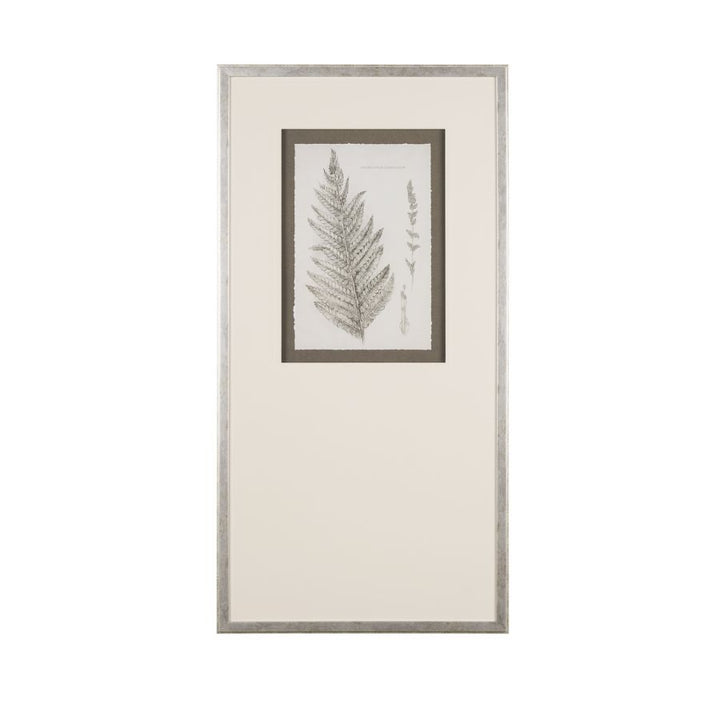 FERN STUDY COLLECTION, FRAMED ART