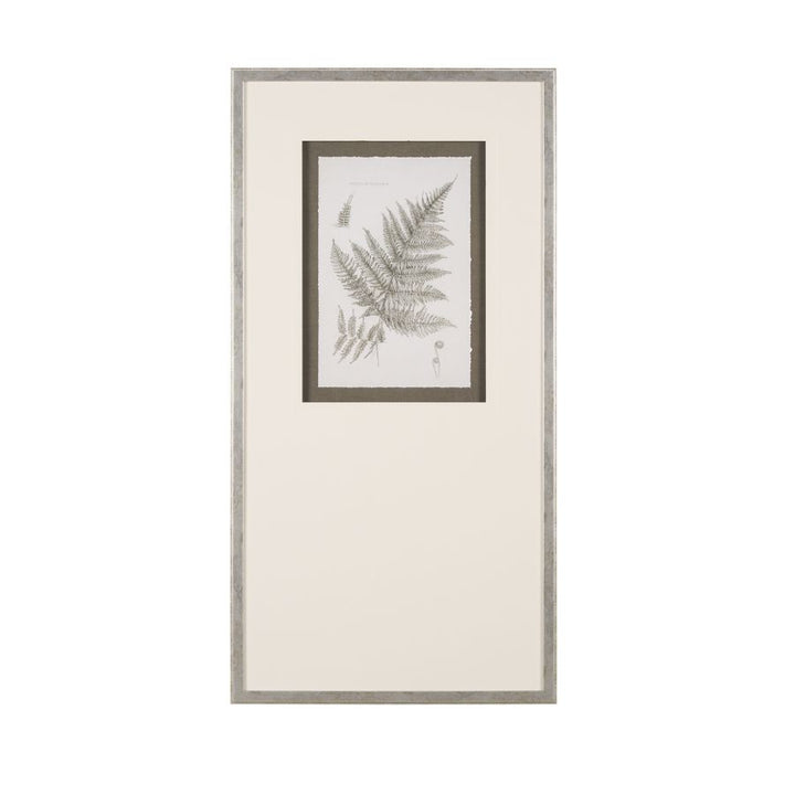 FERN STUDY COLLECTION, FRAMED ART