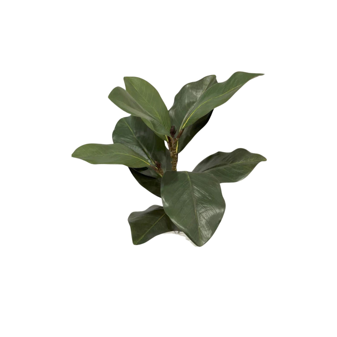 MAGNOLIA SPRAY, GREEN, 22"
