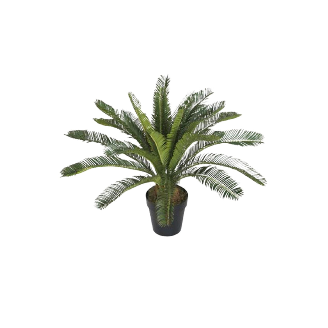 FAUX CYCAS PLANT, 24"