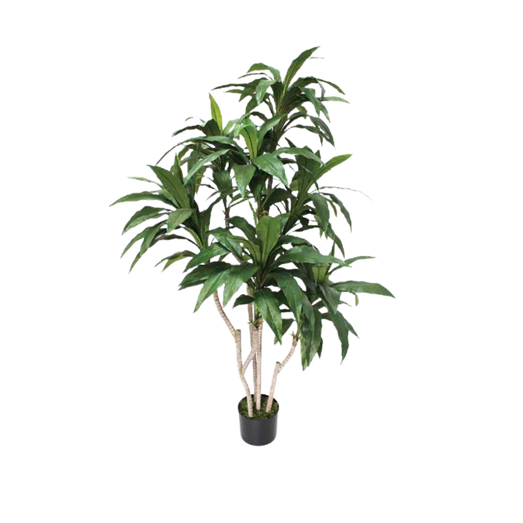 CORDYLINE FAUX TREE, 60"