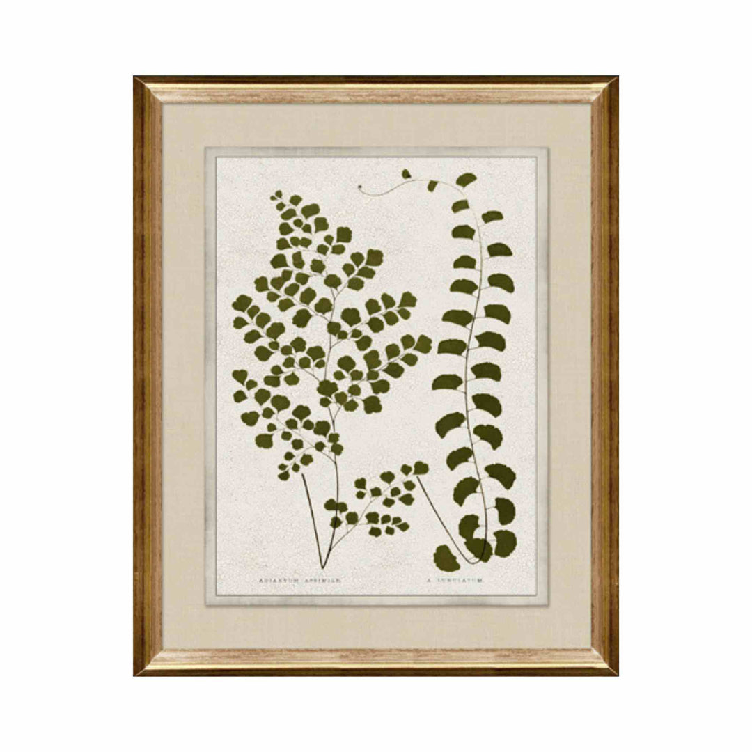 BOTANICAL GREEN II, FRAMED ART