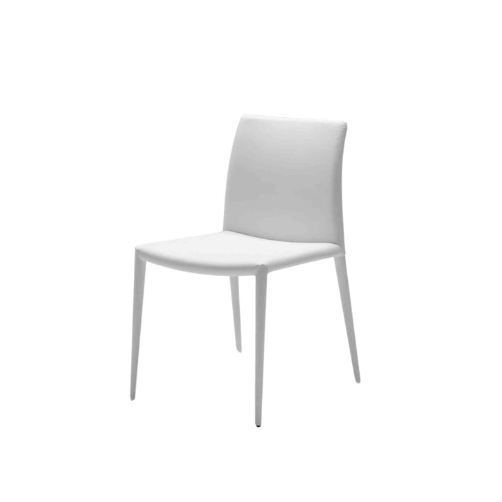 EZRA DINING CHAIR