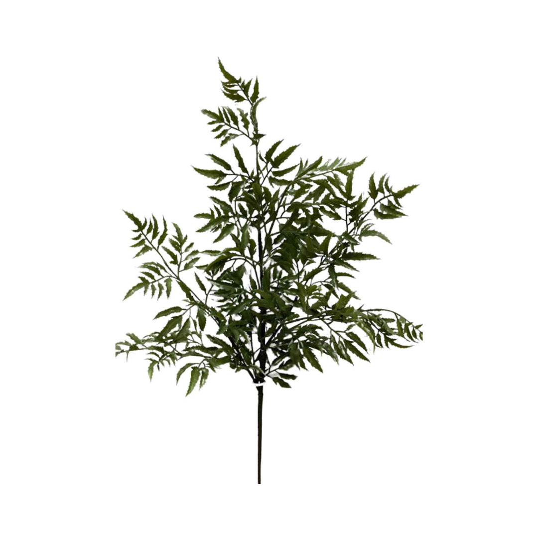 MING ARALTA SPRAY