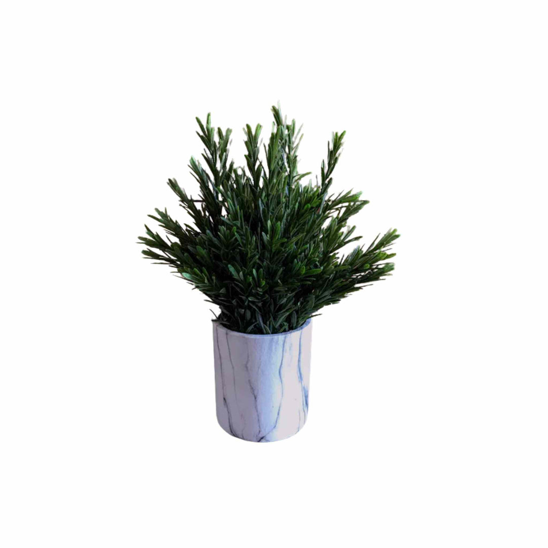 ROSEMARY POT, 13"