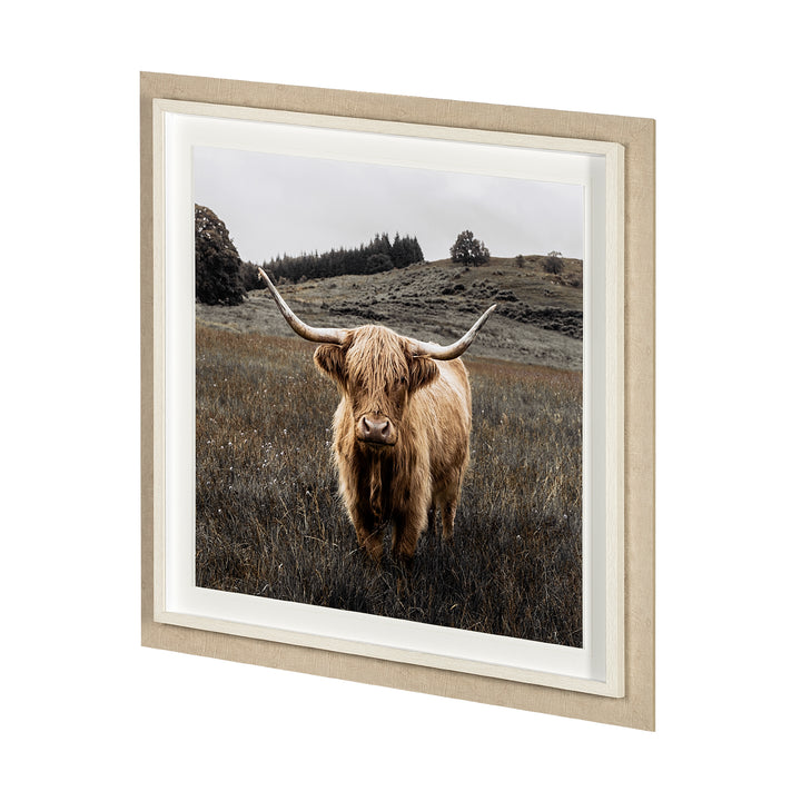 BERNIE, FRAMED ART