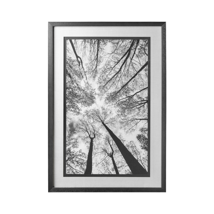 LOOKING UP, FRAMED ART