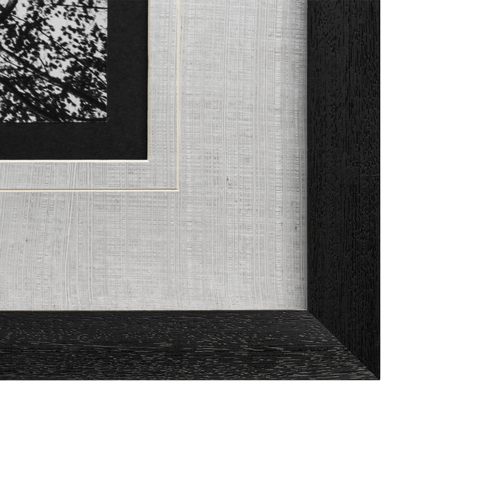 LOOKING UP, FRAMED ART