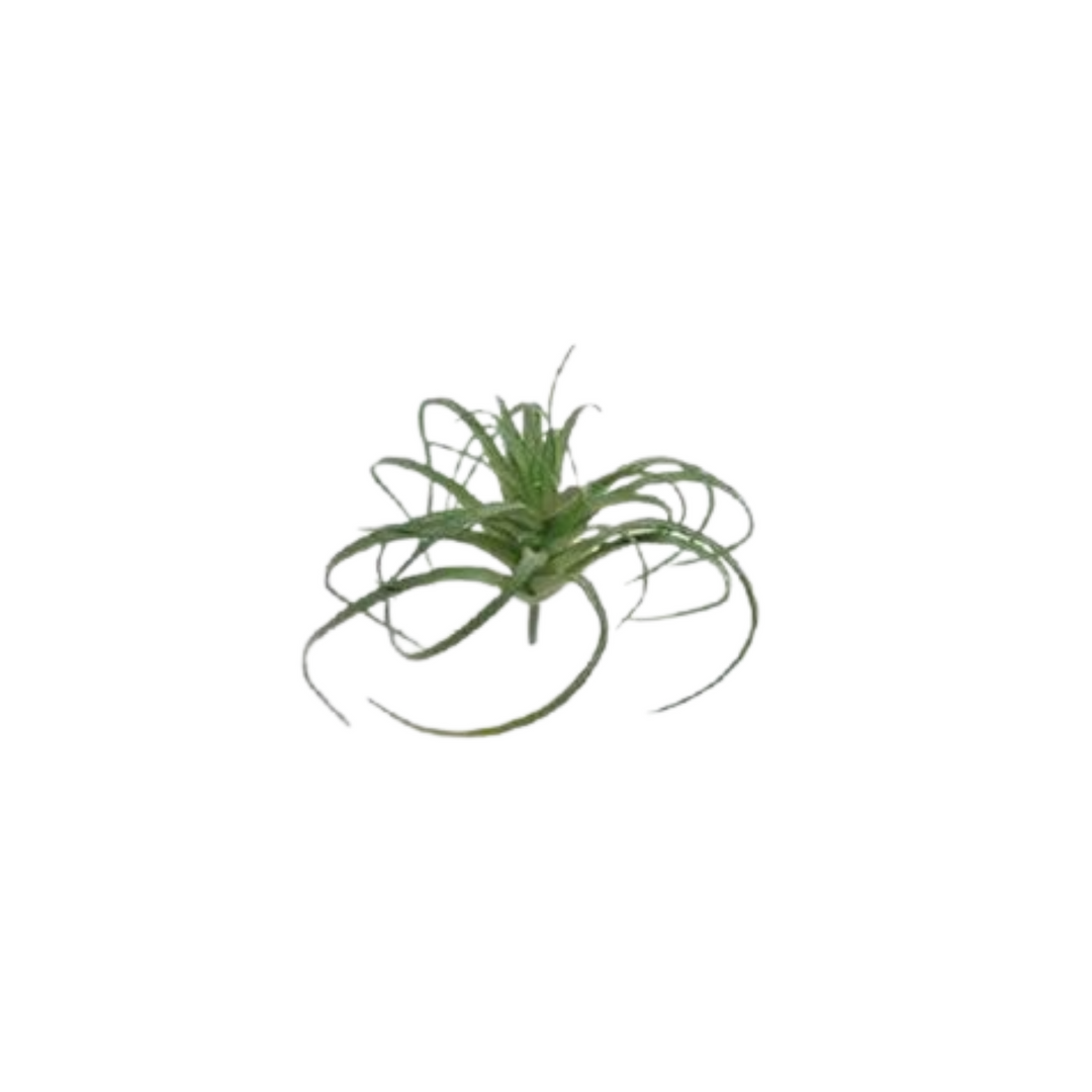 AIR GRASS FAUX PLANT, SMALL