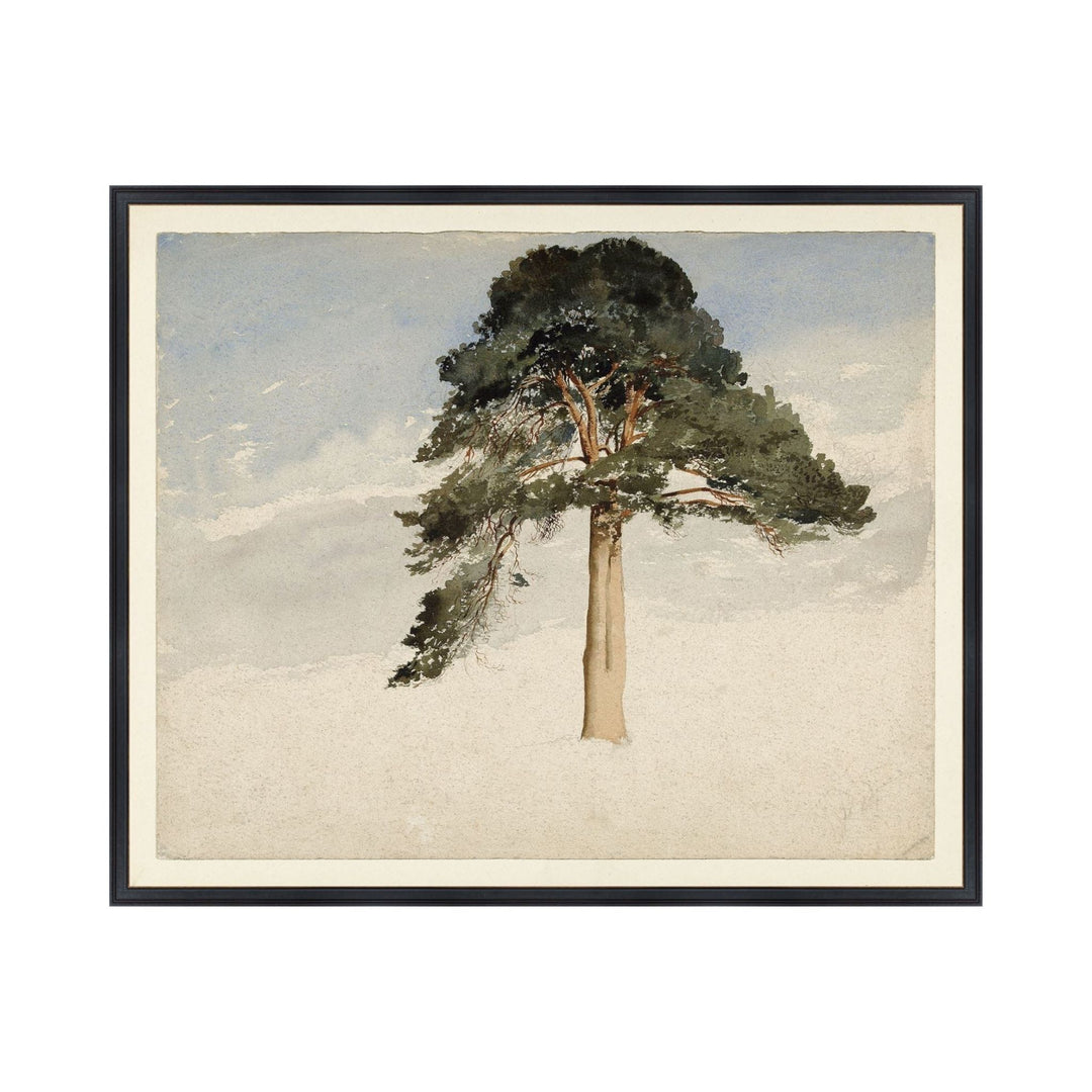 VINTAGE FIR TREE, FRAMED ART