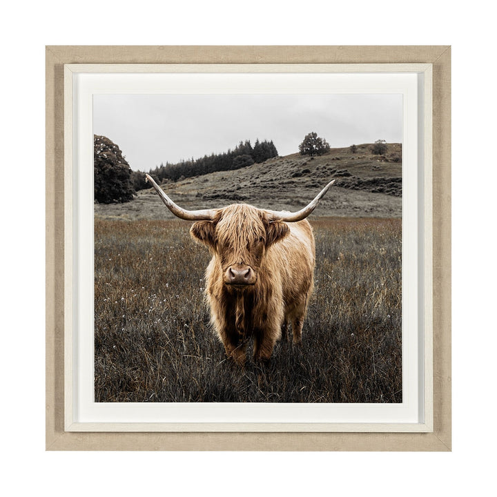 BERNIE, FRAMED ART