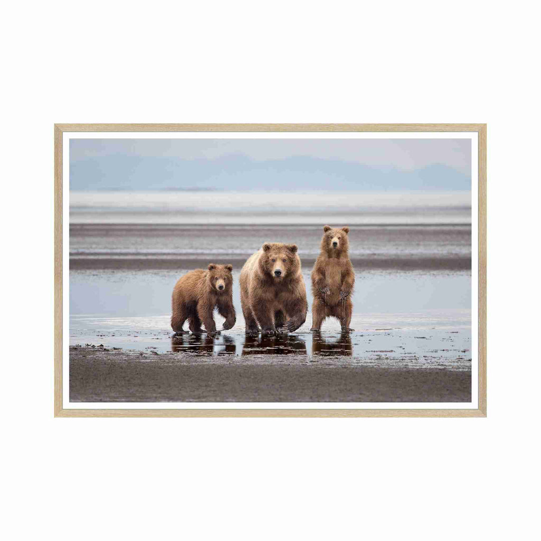 BEAR FAMILY, FRAMED ART