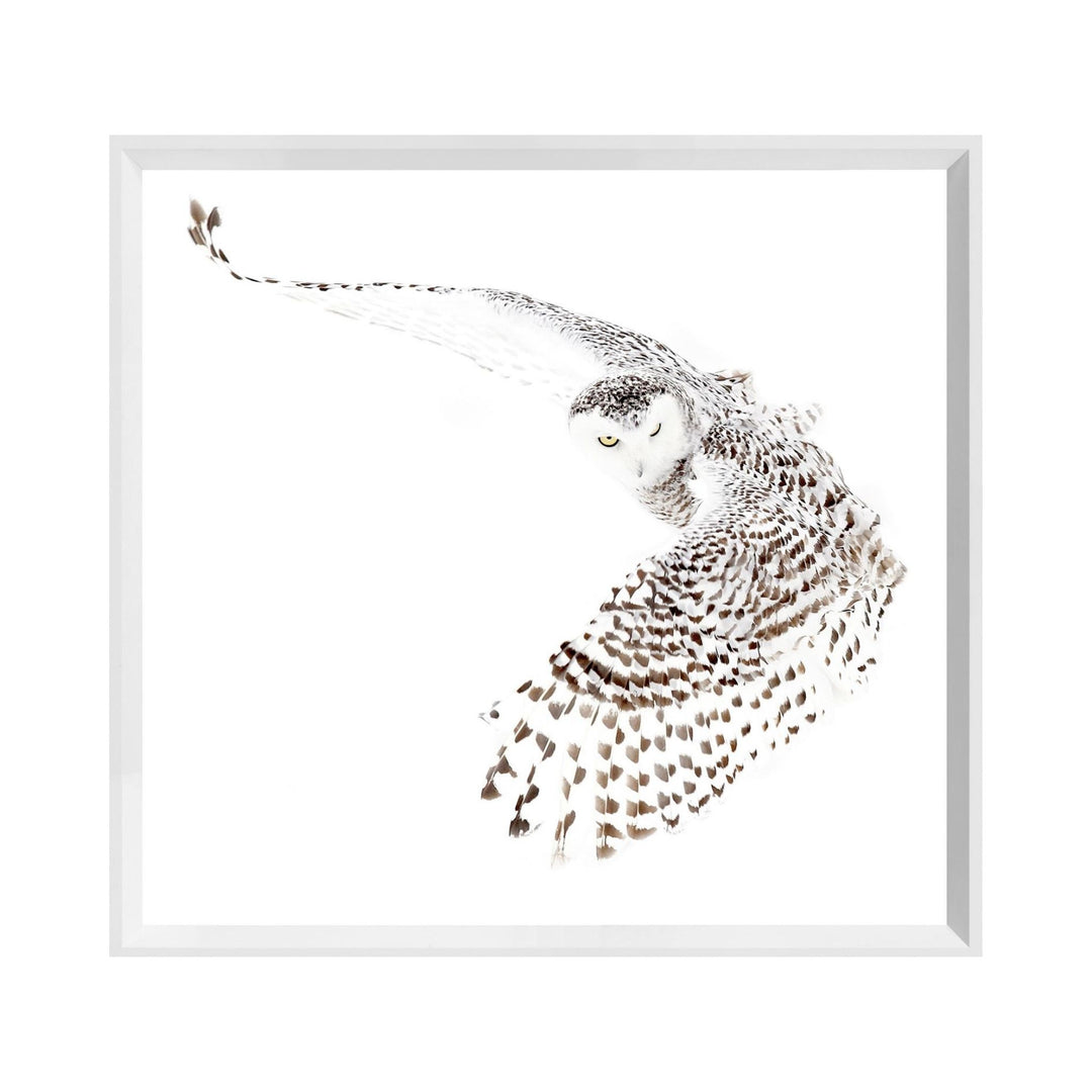 SNOWY OWL, FRAMED ART