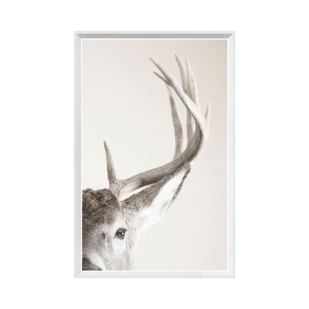 FOCUSED REGARD, FRAMED ART