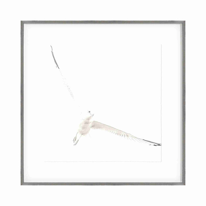 SOAR COLLECTION, FRAMED ART