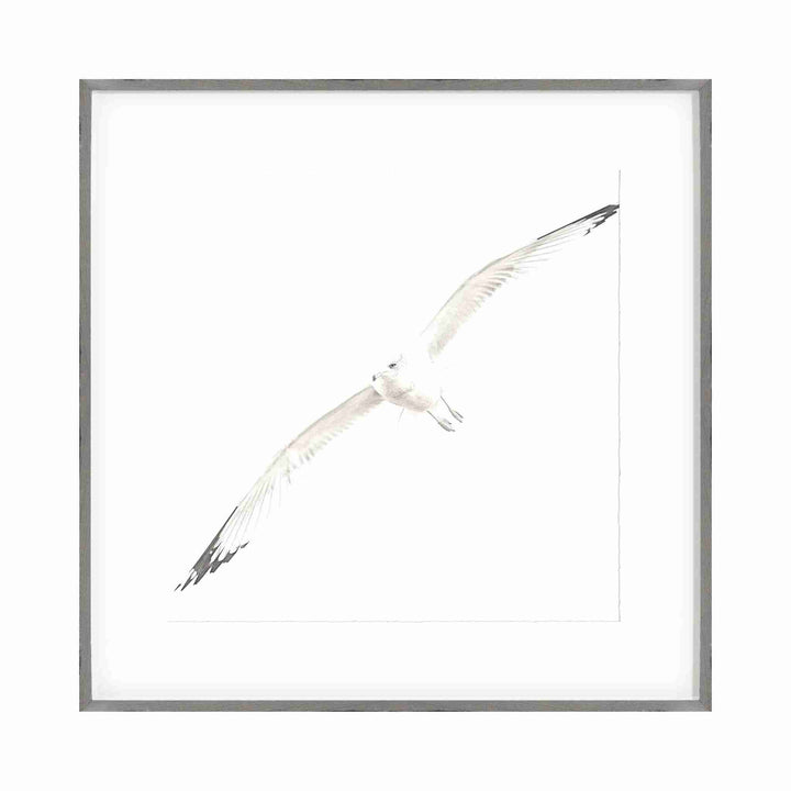 SOAR COLLECTION, FRAMED ART