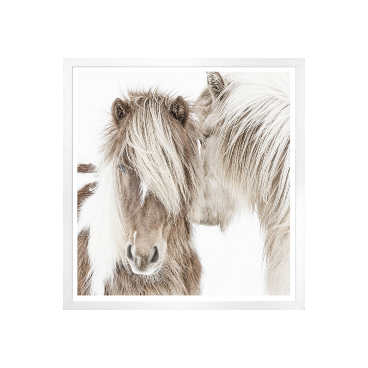 ICELANDIC PONIES FRAMED ART