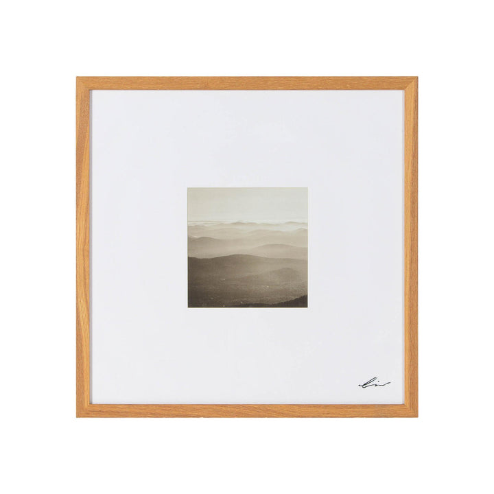 TORRENT ART COLLECTION