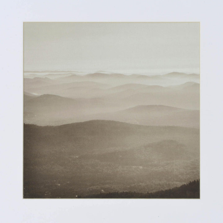TORRENT ART COLLECTION