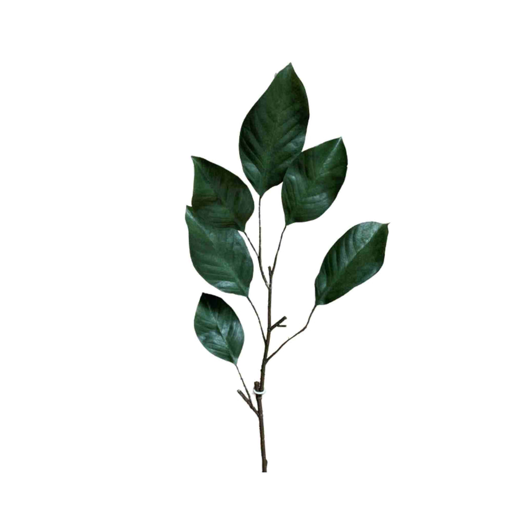 MAGNOLIA LEAVES SPRAY, 6 LEAVES, 40"