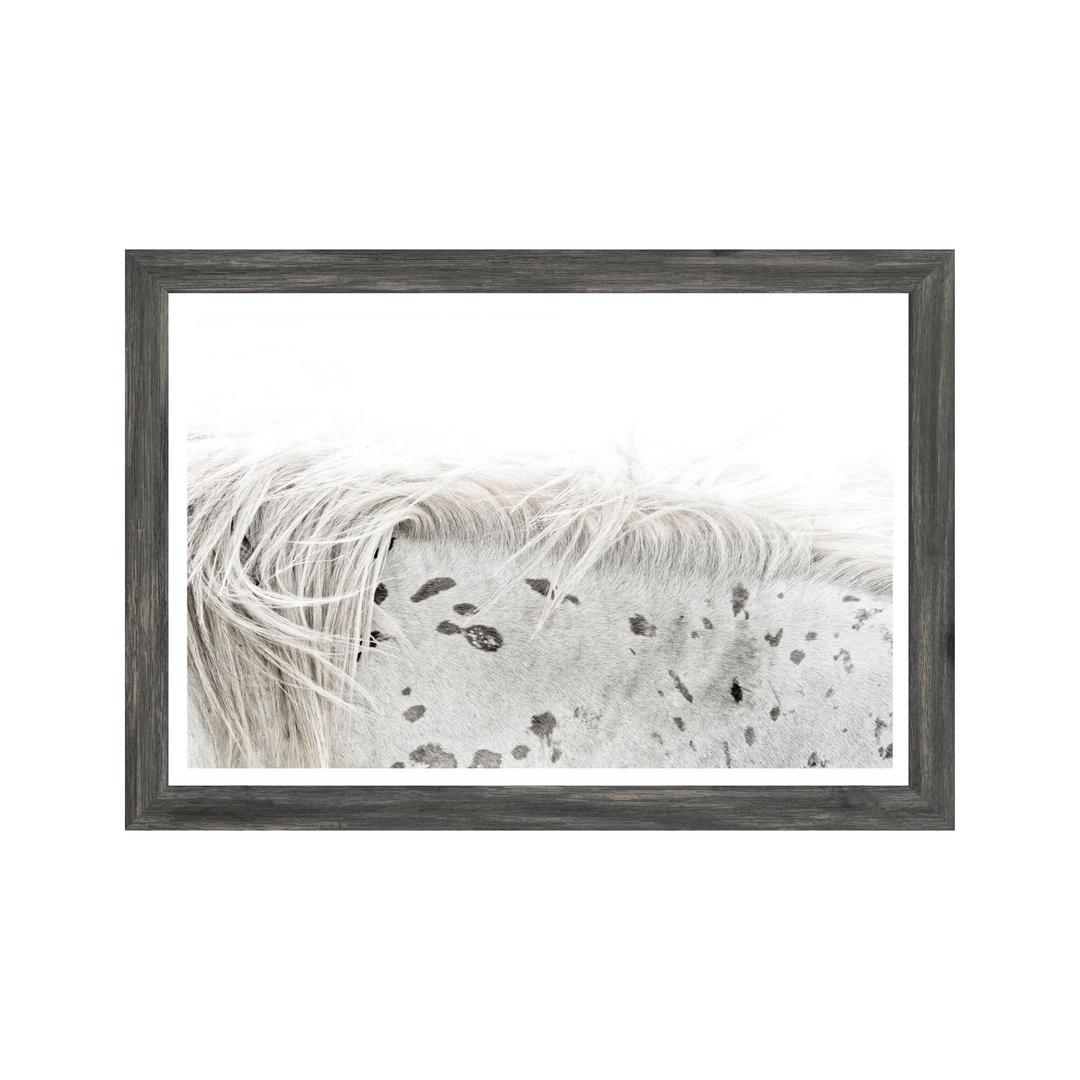 APPALOOSA, MINI