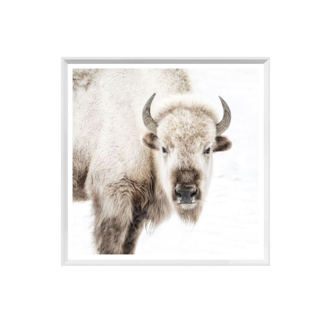 SACRED WHITE BISON, FRAMED ART