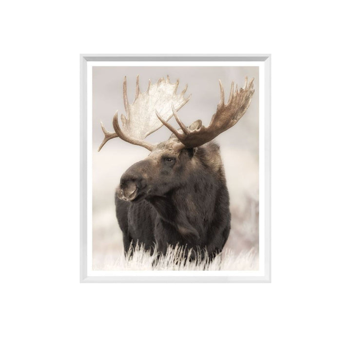 GRAND TETON MOOSE, FRAMED ART