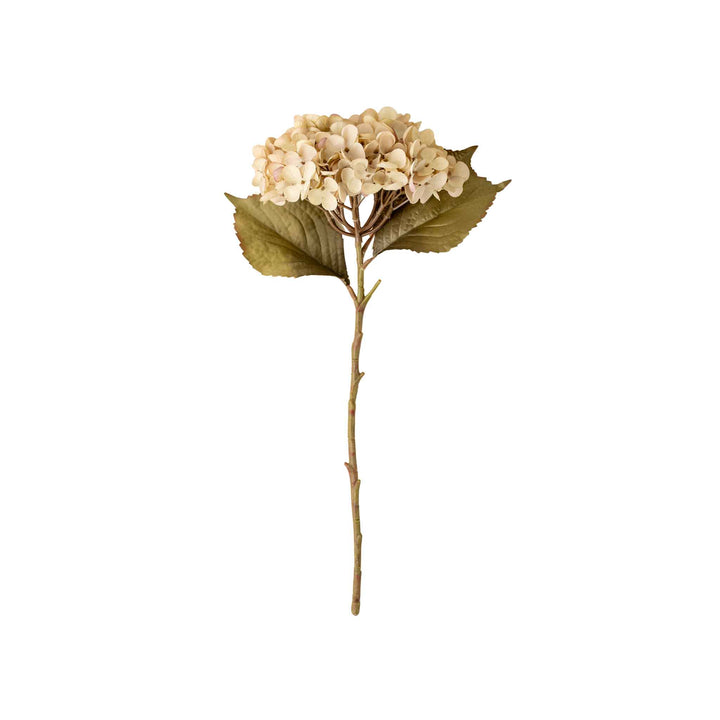 HEIRLOOM HYDRANGEA STEM, WHITE