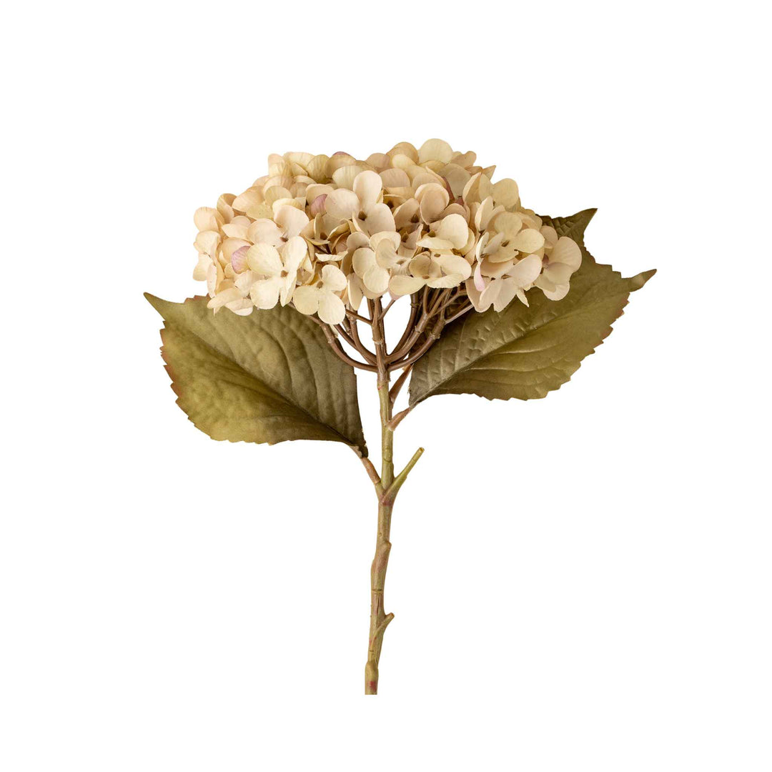 HEIRLOOM HYDRANGEA STEM, WHITE
