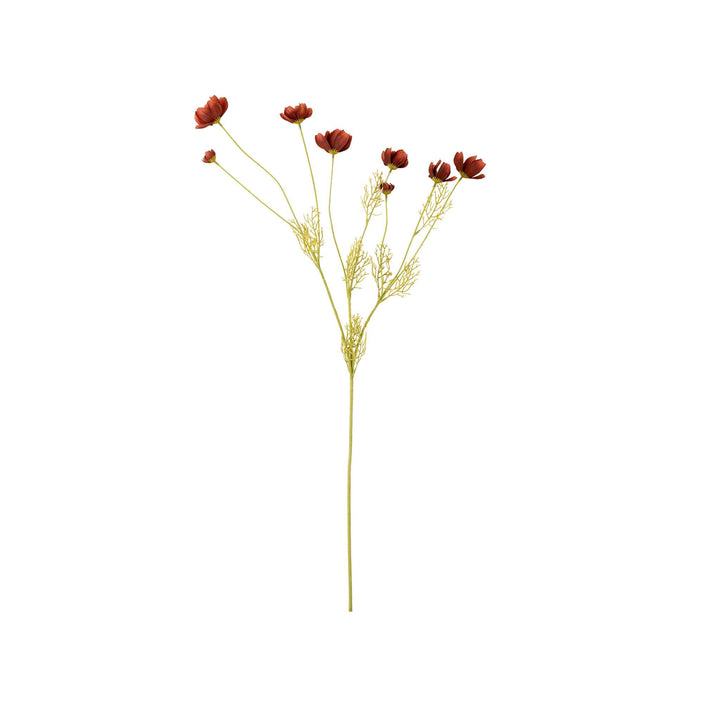 CALLIOPSIS SPRAY, RUST RED